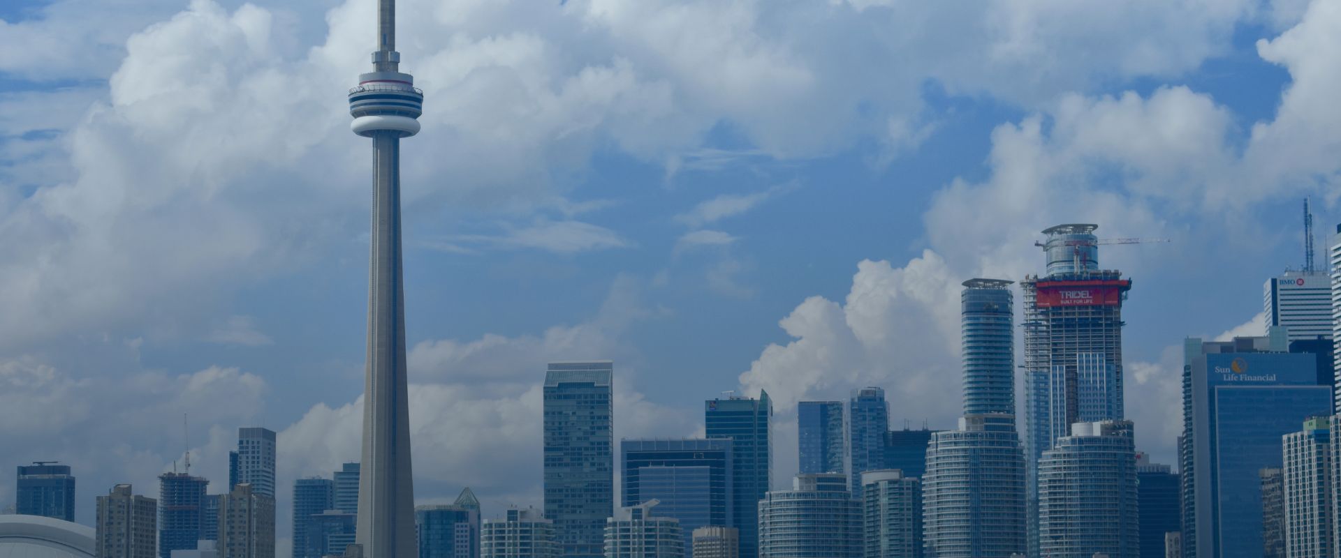 Why You Need An Experienced Real Estate Lawyer In Canada?